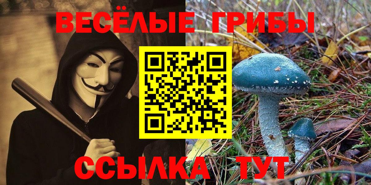 Псилоцибиновые грибы Cubensis  Вход с VPN  Татарск 